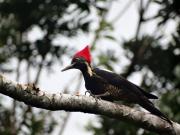 Top Hacienda Santa María