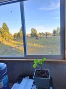 Top Puerto Montt Top Puerto Montt