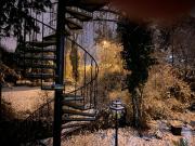 Top Szentendre Top Szentendre