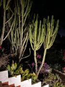 Top Nuestra Señora de Jesus