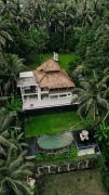 Luxury 2BR Ubud Villa with Infinity Pool and Jungle Views