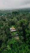Luxury 2BR Ubud Villa with Infinity Pool and Jungle Views