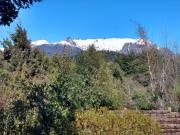 De luz, flores y montaña