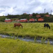 Top Yacimiento Río Turbio