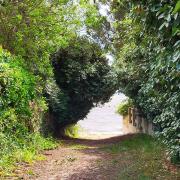 Maupiti, maisonnette en bord de plage dArès