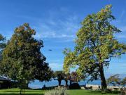 Ferienwohnung Seeperle49 WG2 - Besonders, stilvoll mit eigenem Badestrand