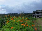 Mountain & sunset view Villa, Monteverde