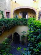 Lele Panchito y Lavanda Juntos en el Centro