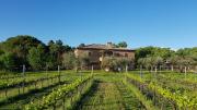 Top Castiglione del Lago