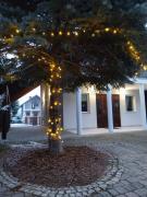 Top Chmielów Top Chmielów