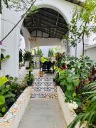 Top Phnom Penh