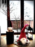 Top Zakopane Top Zakopane