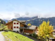 Top Wengen
