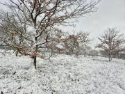 Ferienwohnungen Liedtke