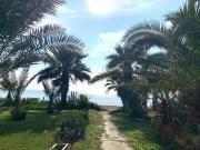 Top Larnaka