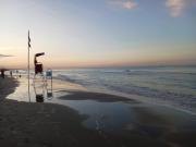 Top Riccione Top Riccione