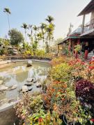 Cozyo Stays Boutique Home Mawlynnong