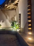 Top Los Órganos Top Los Órganos