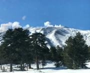 Zaffiro Lavico rooms Etna nature sea