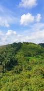 Top Kampong Baharu Cheras Batu Sembilan
