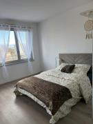 Cozy studio near tram - center