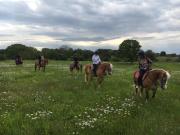 Top Lamie di Olimpia