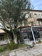 Apartament at Gegidze street