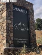 Top Moltifao