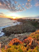 Top Los Molles Top Los Molles