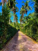 Hacienda Dalas Alojamiento Campestre