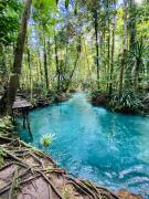 Top Pulau Saonek-kecil