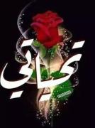 KING FAROUK PYRAMIDS inn