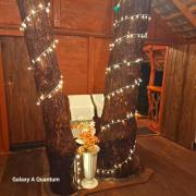 Green leaf Tree house