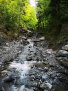 Top Leissigen Top Leissigen