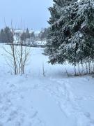 Top Schonwald im Schwarzwald