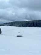 Top Schonwald im Schwarzwald