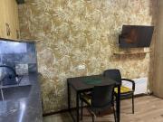 Studio apartment in Bakuriani