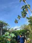 Top Thôn Kim Long (1)