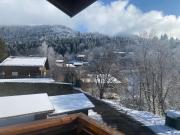 Les blanches aiguilles