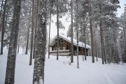 Holiday Cabin Aurora River inc Wilderness Sauna