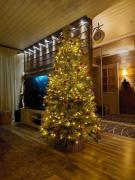 House of Tonttula Near Santa Claus Village