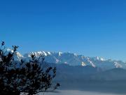 Radha Gopal Royal, Kausani
