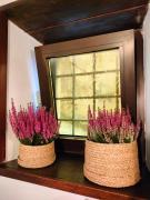 Top Anguillara Sabazia