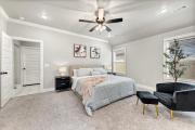 Top Springdale