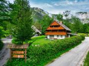 Top Bohinj
