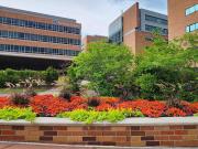 Serene Getaway in Plymouth, MN - 4 bedroom home