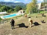 Villa charmante à Sisteron avec piscine privée