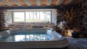 Gite Le Buisson - Spa and sauna