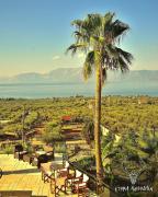 Top Chalkida Top Chalkida