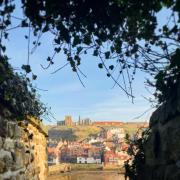 Top Whitby Top Whitby